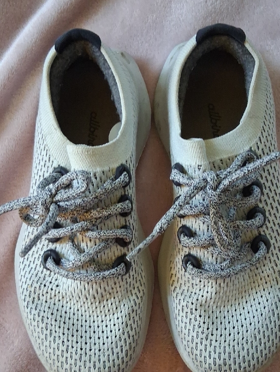 allbirds Shoes - allbirds Kids Knit Lace-Up Sneakers - White/Cream with Gray Accents